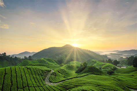  Der Xanadu-Fluss! Eine Reise in die Tiefe Malaysias sechsten Jahrhunderts