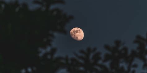  The Old Man and the Moon:  Ein berührender Einblick in die Sehnsucht nach Verbundenheit und den Kampf gegen das Schicksal!